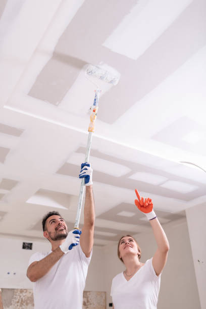 Best Ceiling Drywall Installation  in Machias, WA